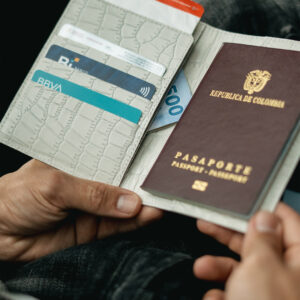 Porta pasaporte  cocodrilo